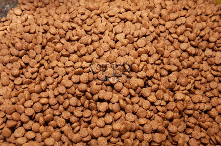 宠物食品选购指南 从成分到喂养的全面解析