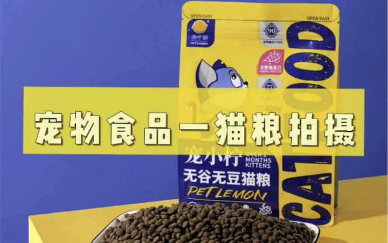 喵鲜驾到 一场猫粮广告拍摄的幕后花絮