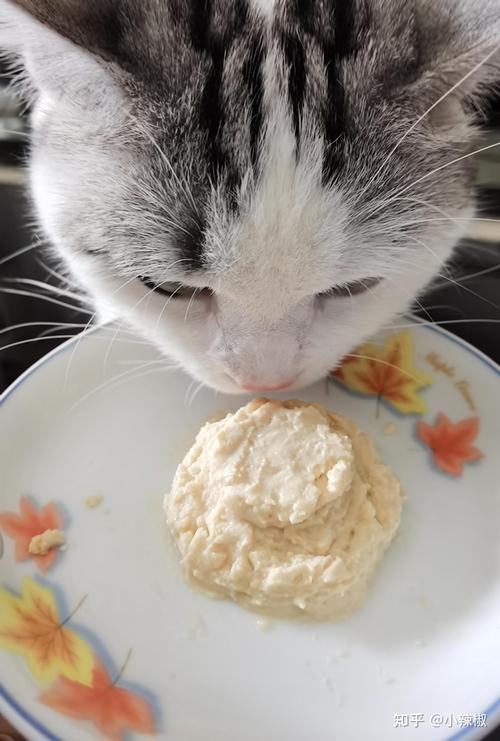 有没有一种宠物食品,是你家宠物从小吃到大的?